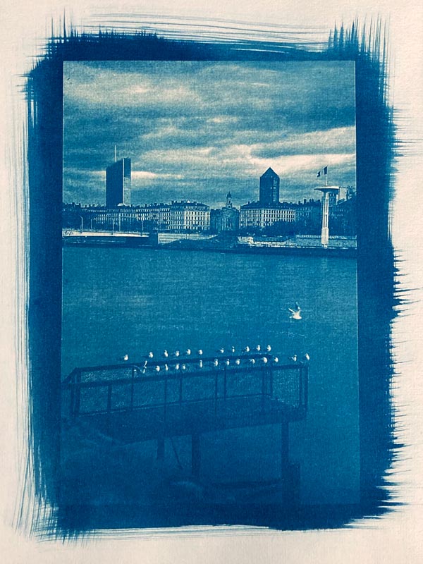Procédés photo alternatifs le cyanotype papier