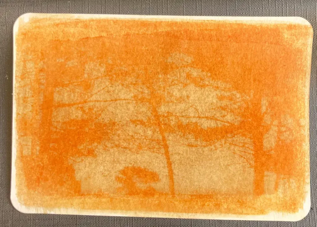 Initiation à l'anthotype : images végétales, tirages éphémères