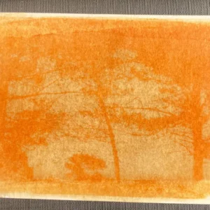 Chambre jaune - Anthotype, des images éphémères